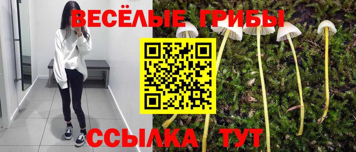 Галлюциногенные грибы ЛСД Десногорск