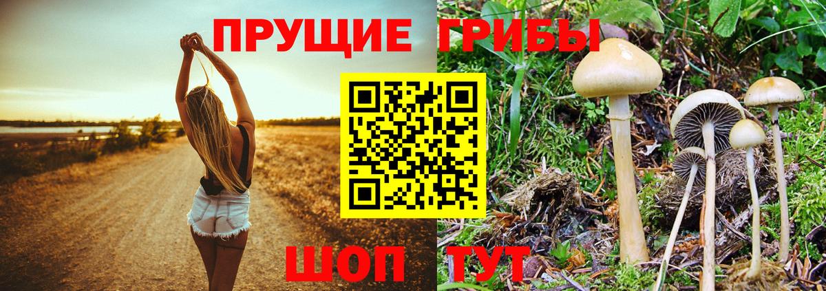 Псилоцибиновые грибы мухоморы  Вход с VPN  Десногорск 